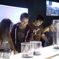 discovering cultural activities programmed by School