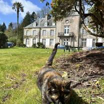 The friendly cat in front of the Berridge building