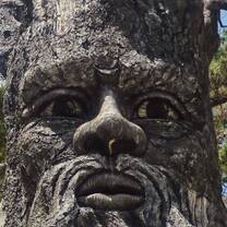The Clay Tunnel in Da Lat: A Sculpted Masterpiece