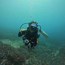 DIVING!!