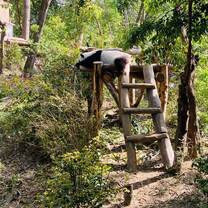 riserva naturale dei panda