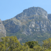 Cape Town's Beauty