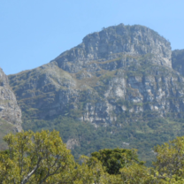 Cape Town's Beauty