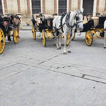 Seeing horse carriages around Sevilla made the city feel even more unique and full of culture