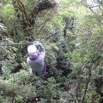 Ziplining in the rainforest