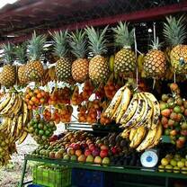 So much tropical fruit! 