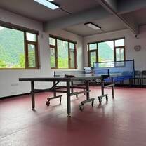 Pingpong area