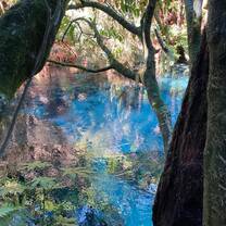 Blue Springs Putaruru