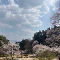 Iida park