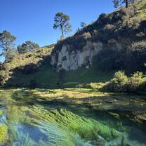 Blue Springs