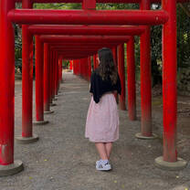 In Miyazaki 