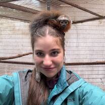 Lucy the monkey 