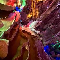 Excursion to the caves 
