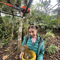 Feeding the birds and monkeys !