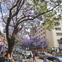 Alberi di Jacaranda in fiore