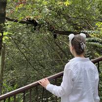 Visiting Panda Base 