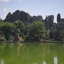 Stone forest 石林