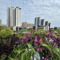 View from the terrasse