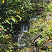 Royal Botanical Gardens!