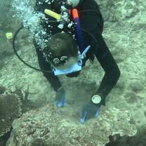 Underwater 