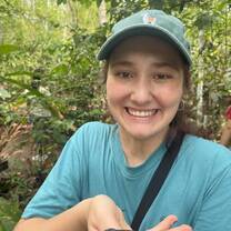 A bug in the Amazon Rainforest