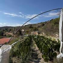 Excursion to the northern Mixteca region, visiting a gentleman's home and working in his fields