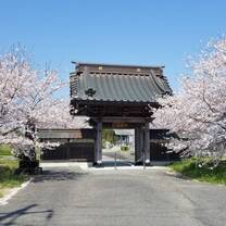 Cherry Blossoms