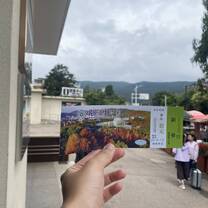 Going to Kunming Botanical Gardens