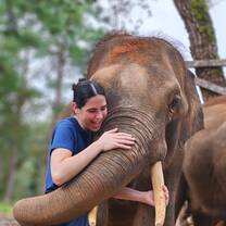Elephant Hugs!