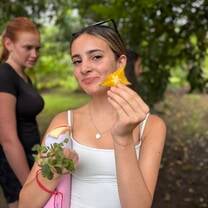 New fruits and experiences 