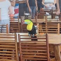 A guest at the restaurant