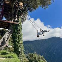coolest swing ever