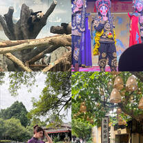 Chengdu photo collage 