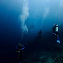 Leading a Dive