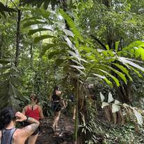 Walks in the Jungle after workdays in the afternoon