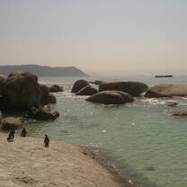 Middle Beach