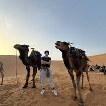 Me posing with camels in Morocco