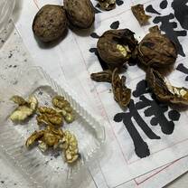 Eating raw walnuts. My first time.