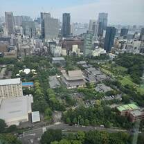 view from tokyo tower
