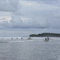 Costa Rica Surfing 