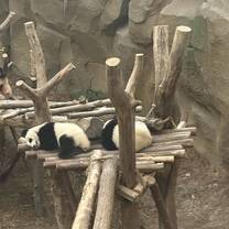 Panda Research Centre