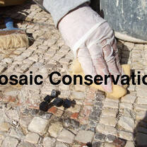 Mosaic Conservation