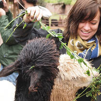 Intrax Social Development Internships in Peru
