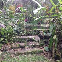 Garden steps in Costa Rican farm
