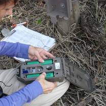African Wildlife & Community Conservation Research Internship & Course