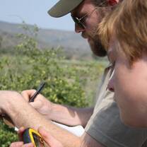 African Wildlife & Community Conservation Research Internship & Course