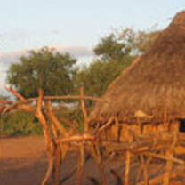 Intern in Ethiopia with Projects Abroad