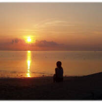 Bali is a great place to live whilst taking an internship