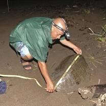 active conservation