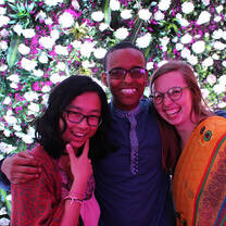 Intern in Bangalore this summer on the Cultural Vistas Fellowship